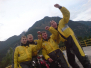 2008 Italien