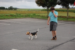 Frankreich_2011_0062