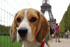 Frankreich_2011_0072