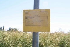 Estonia_2014_0083
