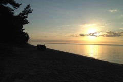 Estonia_2014_0311